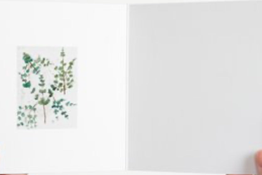 Christmas Cards