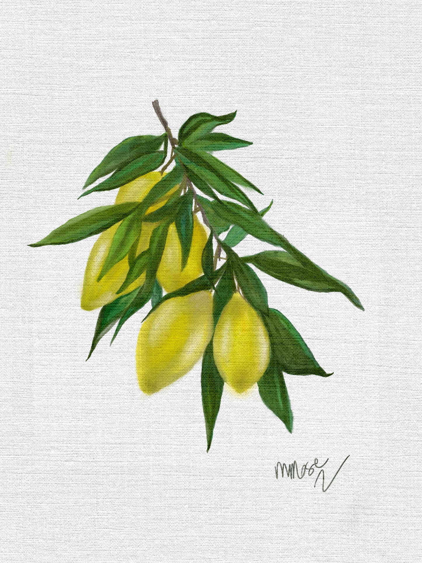 5β x 7β watercolour lemons