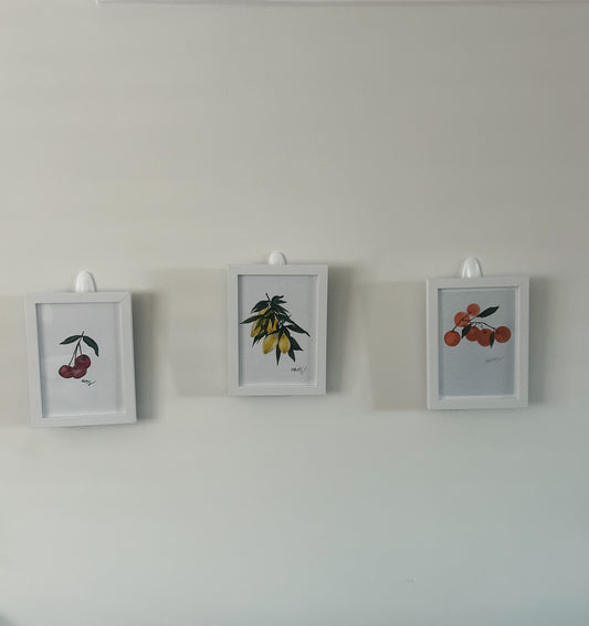 Watercolour Fruit Bundle (Including Frames)